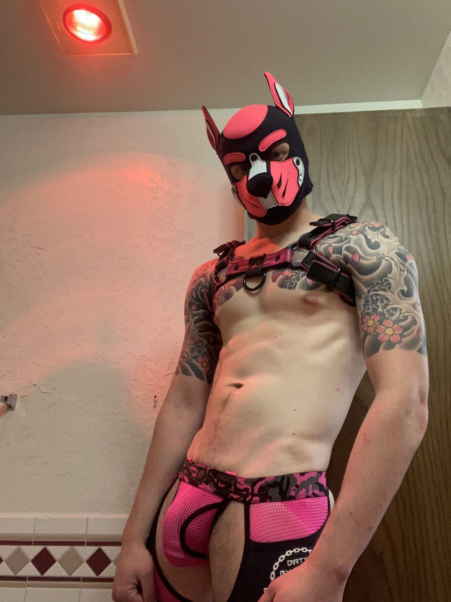 Pup Warden tweet media