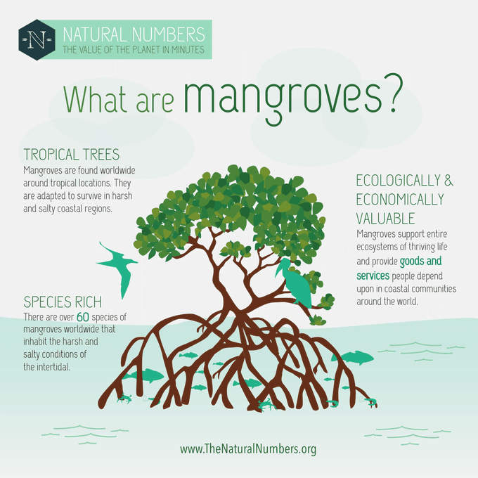 UN Biodiversity tweet media
