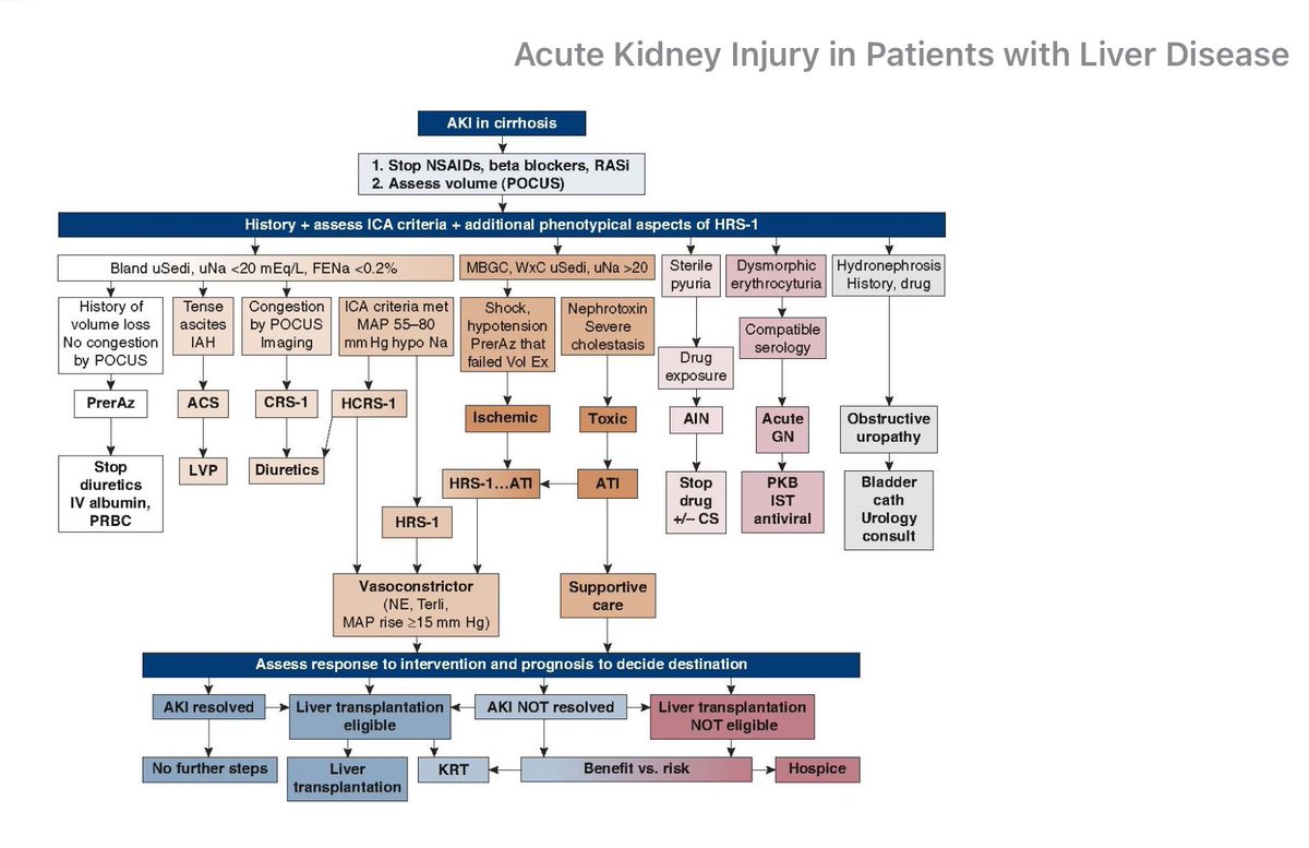 AKI in Liver Disease #Nephpearls 

doi: 10.2215/CJN.03040322

Excerpt From
Acute Kidney Injury in Patients with Liver Disease
Cullaro, Giuseppe; Kanduri, Swetha Rani; Velez, Juan Carlos Q.