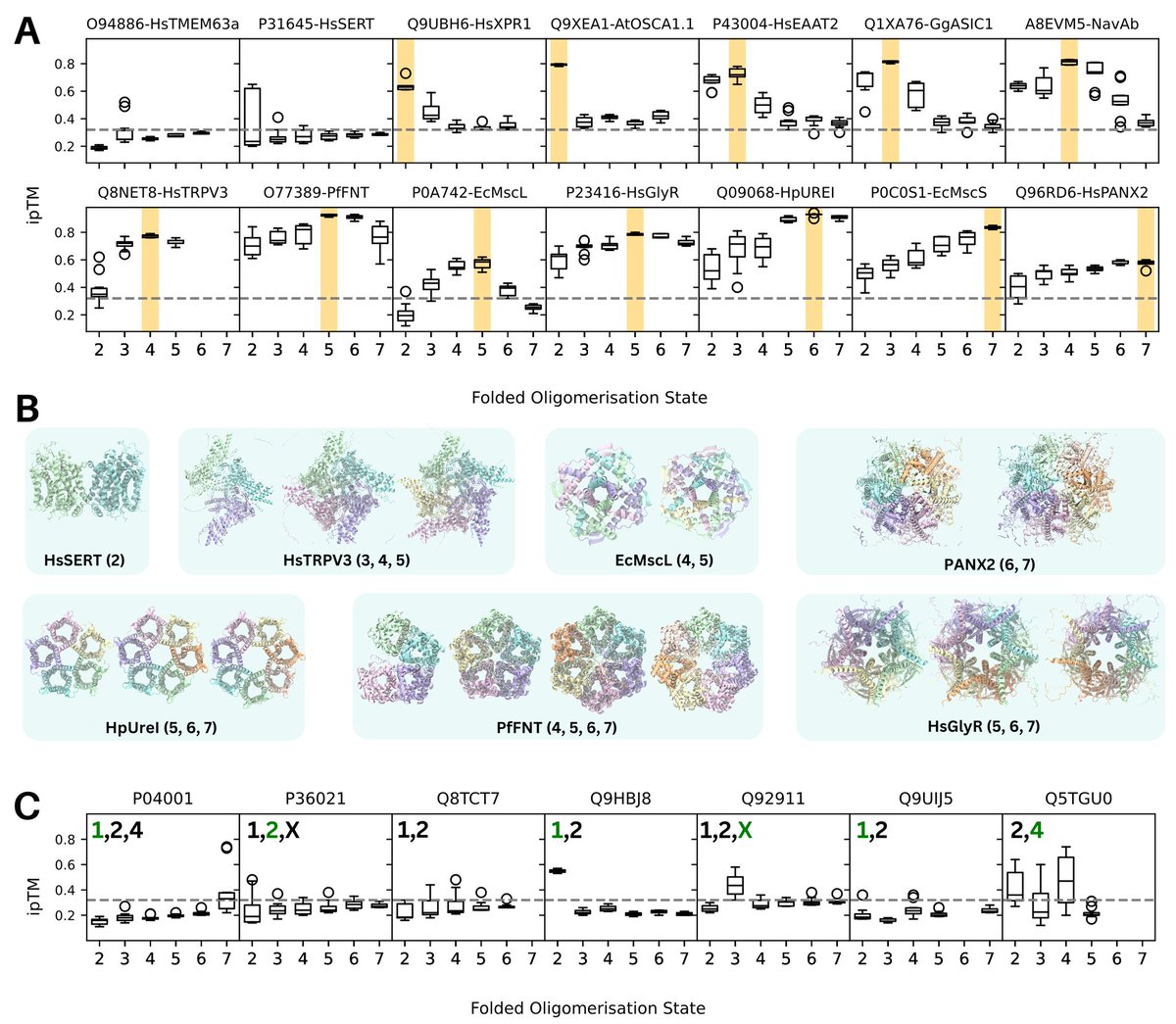 Corry Lab (@corrylab) on Twitter photo Thrilled to share our latest preprint from <a href="/yiechanglin/">YC Lin 🧪👩🏻💻</a> & <a href="/ciara__wallis/">Ciara Wallis</a> showing AF2-Multimer and AF3 can quickly & accurately predict the oligomeric states & structures of proteins (& maybe can identify multiple biologically relevant oligomeric states 👀)
tiny.cc/oligomers Thrilled to share our latest preprint from <a href="/yiechanglin/">YC Lin 🧪👩🏻💻</a> & <a href="/ciara__wallis/">Ciara Wallis</a> showing AF2-Multimer and AF3 can quickly & accurately predict the oligomeric states & structures of proteins (& maybe can identify multiple biologically relevant oligomeric states 👀)
tiny.cc/oligomers