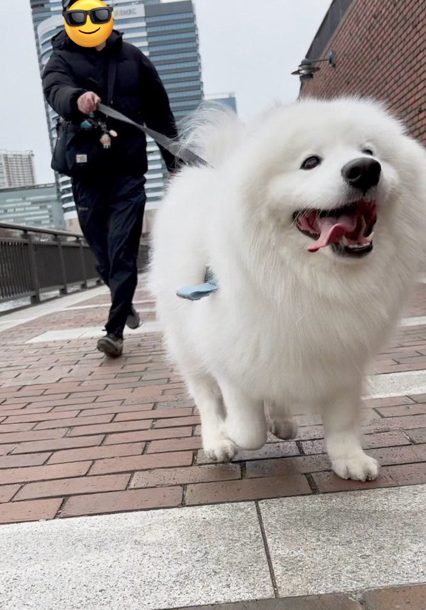 THE DAZS ダッツファミリーCh. tweet media