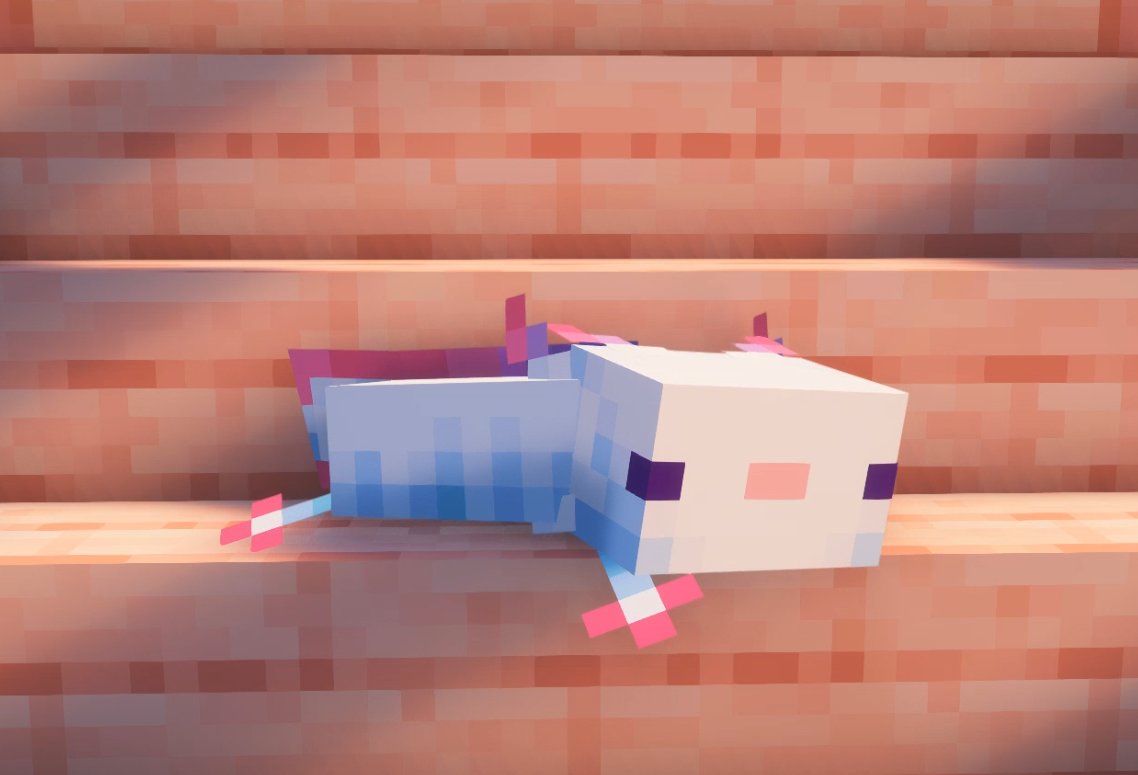 There's an axolotl on the pink stairs