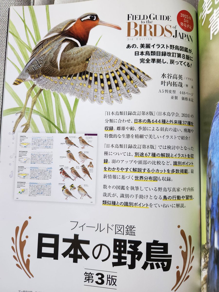 ﾌｨｰﾙﾄﾞ図鑑 日本の野鳥 第２版 | ＲＫのブログ フィールド図鑑 日本の野鳥
