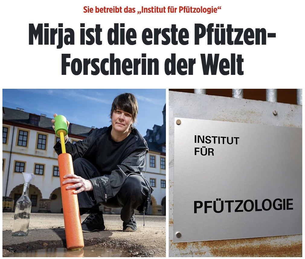 Hefeweizen's tweet photo. Dafür steht ihr jeden Tag auf, rackert euch den Buckel krumm, um solchen Leuten über NGO‘s ihre Bullshitjobs zu finanzieren. https://t.co/TtdU5Ik4I2