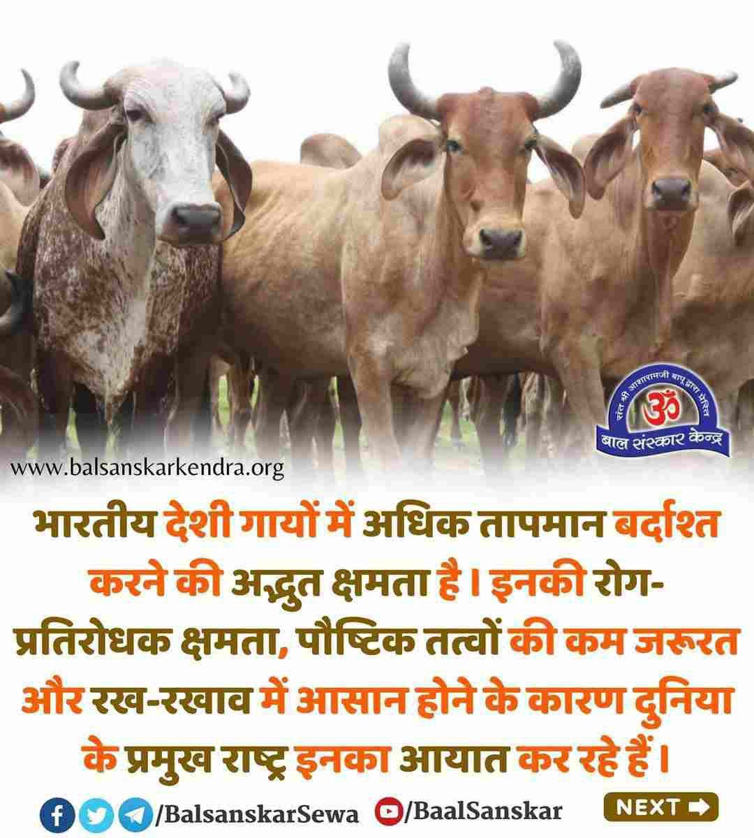 arjunjadhav_'s tweet photo. @YssSpeaks उपरोक्त दोनों,
#StopKillingCows
Save Humanity
Sant Shri Asharamji Bapu - देशी गाय पशु नही, अपितु प्रकृति का उपहार है जिसके दूध मे स्वर्णक्षार पाया जाता है ,गाय ही एक ऐसा प्राणी है जिसका मल-मूत्र पवित्र माना जाता है जो कि औषधीय गुणों से परिपूर्ण है❗ https://t.co/K52rjgTRMT
