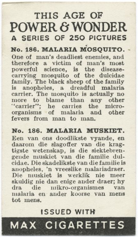 LRonLacy's tweet photo. 3 #March #WorldWildlifeDay
‘No. 186. Malaria mosquito’ Cigarette Card from *This Age of Power and Wonder* Max Cigarettes series. 1935-1938. &amp; reverse with text.
#wildlife #mosquitos #entomology #biodiversity #ScientificIllustration #illustrationartists #MHarris https://t.co/DR7c2GKYUH
