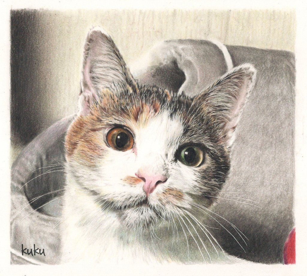 セルジオ悦子 ちゃん を色鉛筆で描きました 今回は新しく購入した