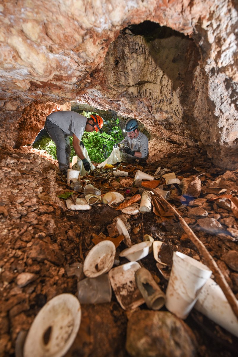 uisspeleo's tweet photo. 1st Place – Kay Nicte Vilchis Zapata (Mexico)
UIS Cave Photo Contest – 1st Place Winner!
Photographer: Kay Nicte Vilchis Zapata 🇲🇽
Winning Photo: Xi'ím Ha Sinkhole Restoration
#UISCavePhotoContest #ResponsibleCaving #CavePhotography #Speleology
#CaveConservation https://t.co/sGR5BKj01o
