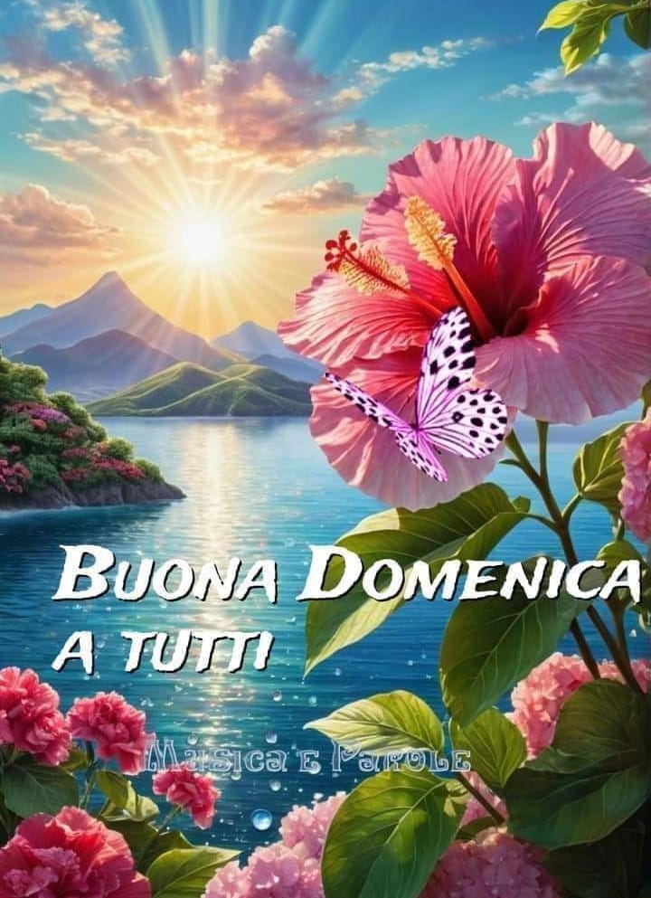 Buongiornissimo Splendide Ragazze.. manca pochissimo per vedere Can in azione😘💙☕️
#CanYaman💙meravigliosa creatura 💙 buona giornata Ragazzo Speciale ovunque Tu sia 💙 Ciao Vita 💙 😘 💙 
#ElTurco