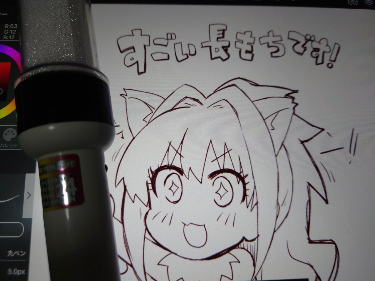 コンサートライト24 多分デレ2ndライブのとき買ったやつだと思うんだけど今日まで現役で動いてんだからすごい!すごいです!これは相棒! 