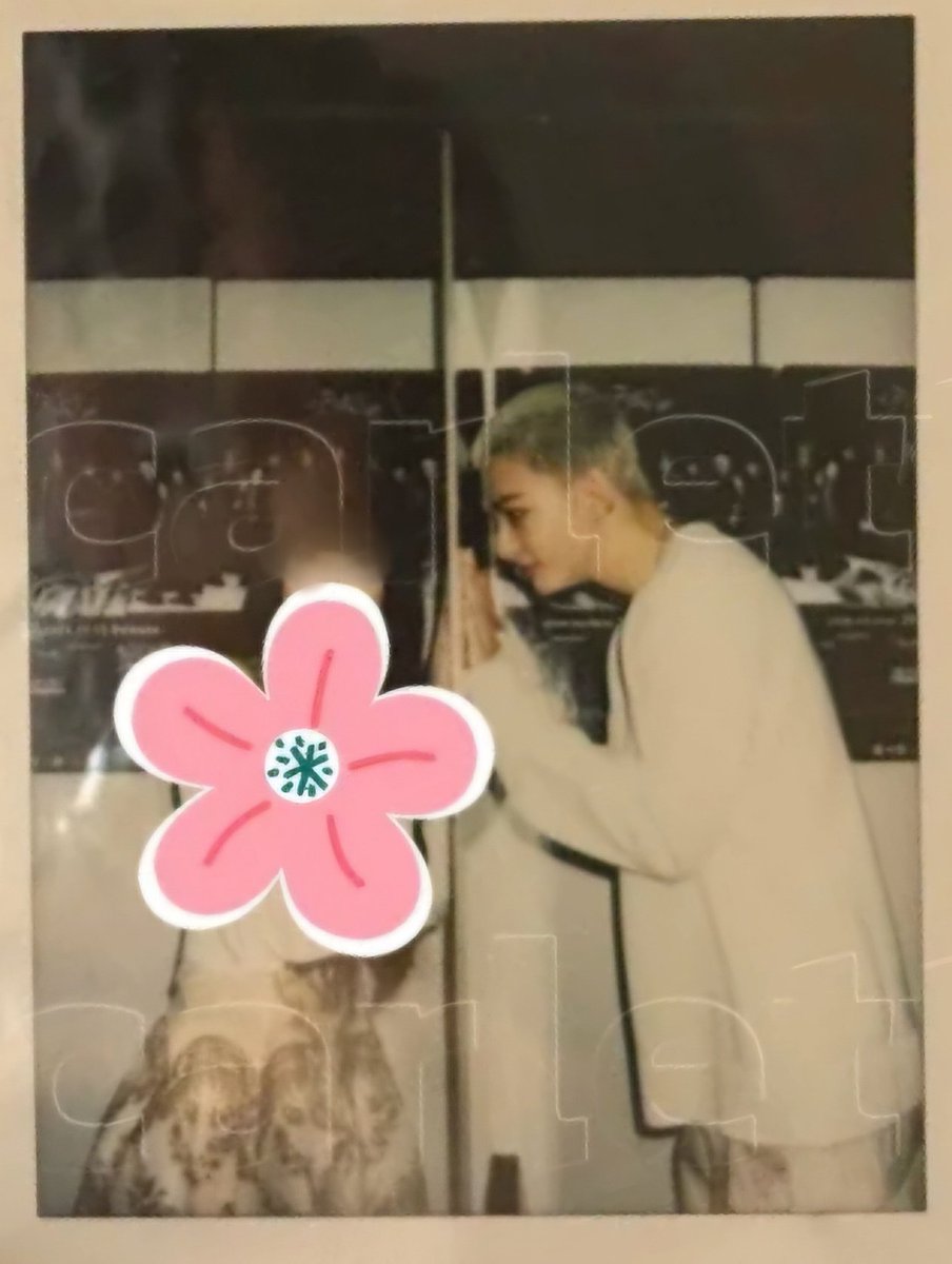 ssomi_SKZlove's tweet photo. 다죽자 https://t.co/URTEkSGY7a