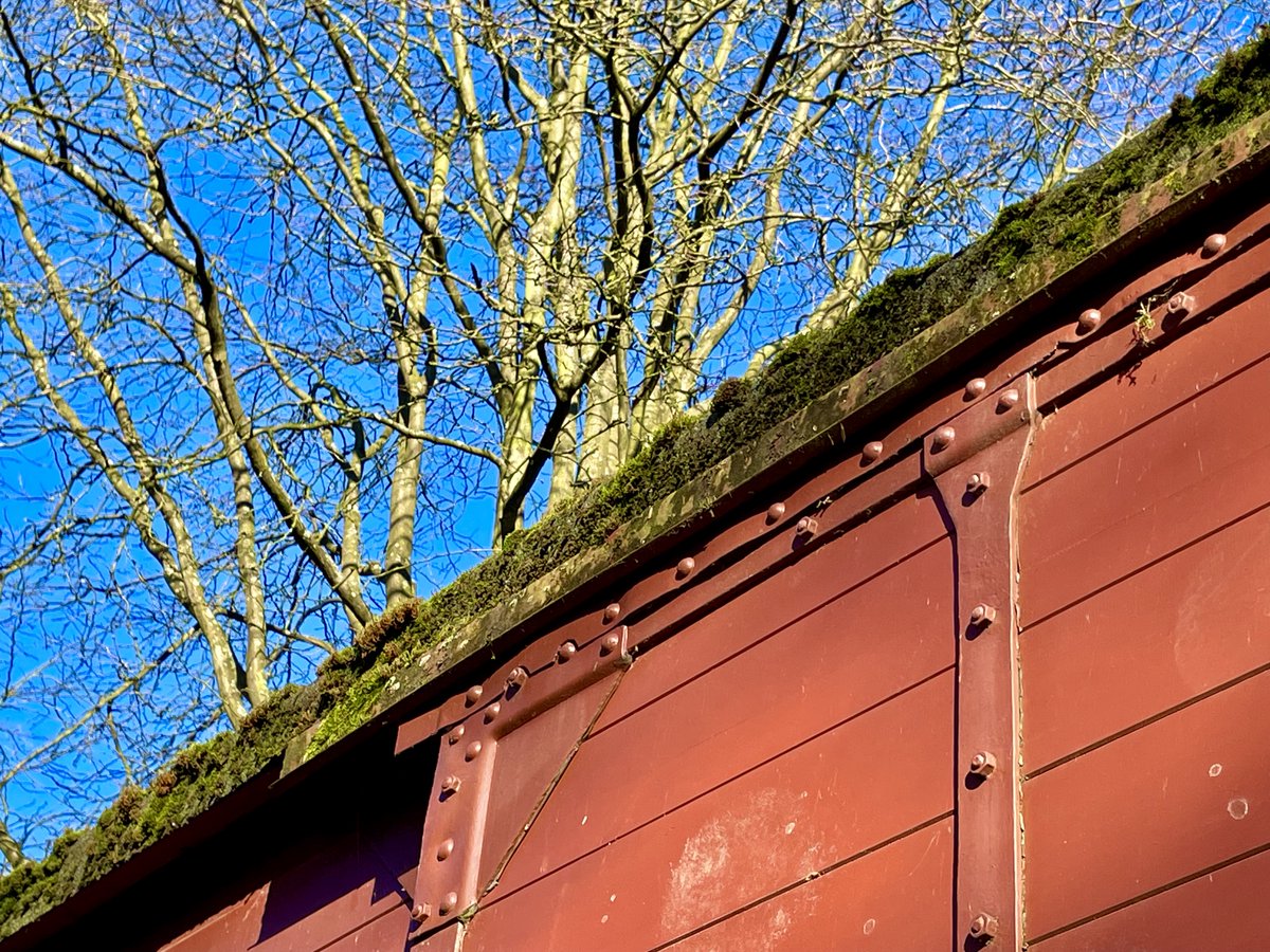Herzlichen Dank an alle, die meinen neuen „Wolken und Kastanien“ ein bißchen Reichweite schenken!

👉🏼 Quittenmarmelade. Über ein Gedicht von Jürgen Becker und den Geschmack von Buttermilch, über eine Kindheit im Krieg und Stimmen aus einem Güterwaggon: steadyhq.com/de/renatus-dec…