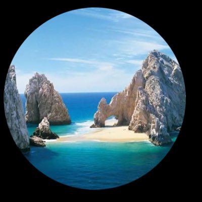 single de escobedo tweet media