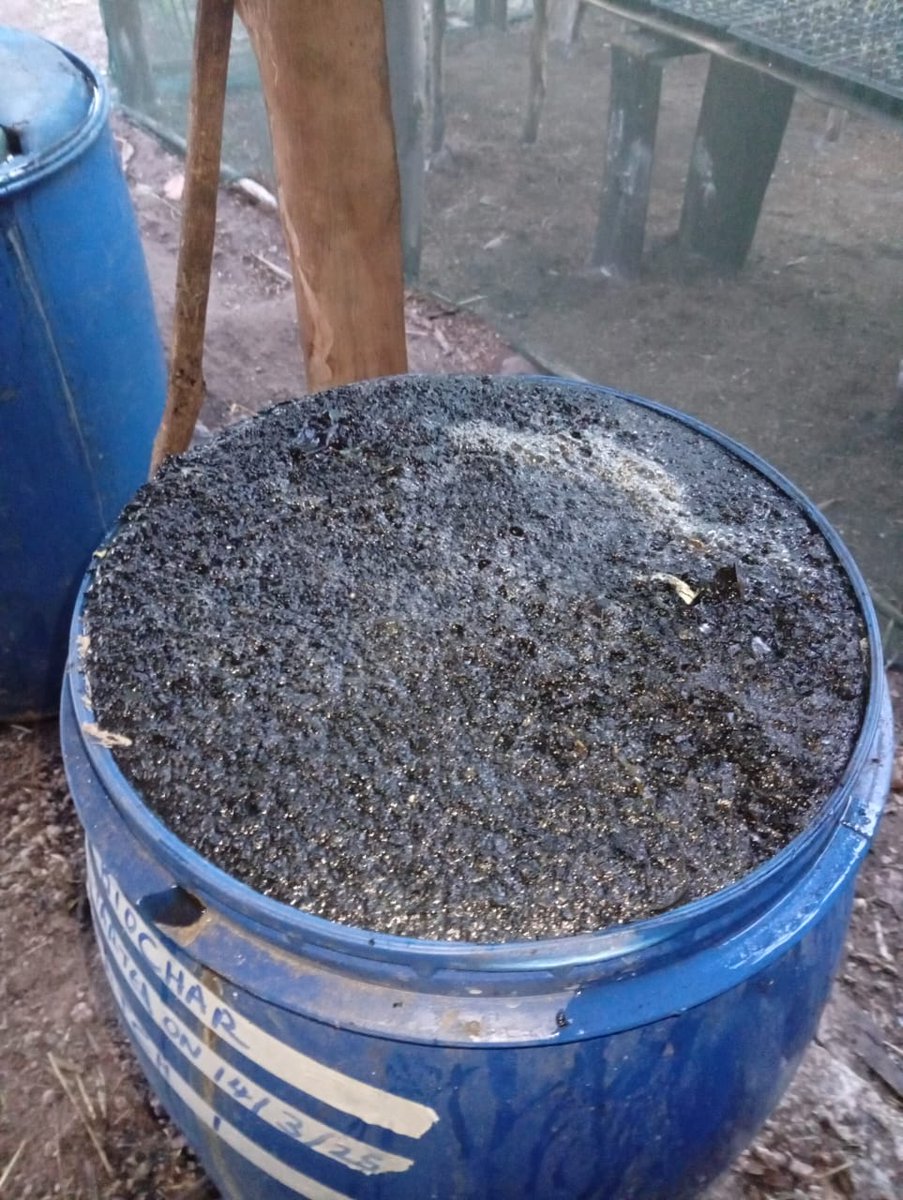 MagreenMorganic's tweet photo. Our soil at the #Fikirini farm is sandy and heavily depleted of nutrients due to leaching. So we use two key amendments: #compost and #biochar. These two are a game changer in improving our #soilhealth, retaining moisture and nutrients. https://t.co/YewCtodOvA