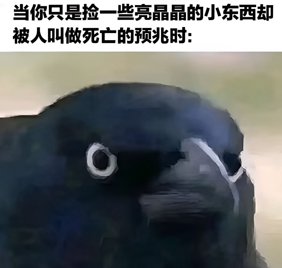 旗田安奈🍵 (@hatadanna) on Twitter photo 