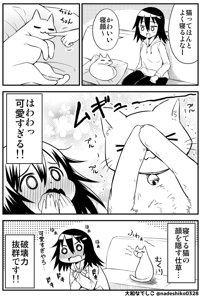 猫と楽しい日常マンガまとめ(3/4) 
