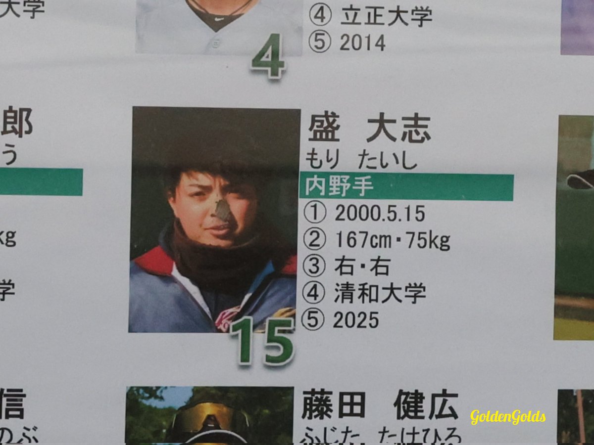 GGolds_Inashiki's tweet photo. 稲敷市桜川運動公園野球場の掲示板に大きな選手紹介が貼らていました。
本日オープン戦でスタメンフル出場の新人の#15盛大志 選手 (ガラス汚れです) 新しいマルッチのグローブはGGのカラーを意識してくれたのかな、数多くのメジャー選手も愛用するmarucci マルーチ マルチ ？
カッコいいです！ 期待。 https://t.co/JjuJtY4ct4