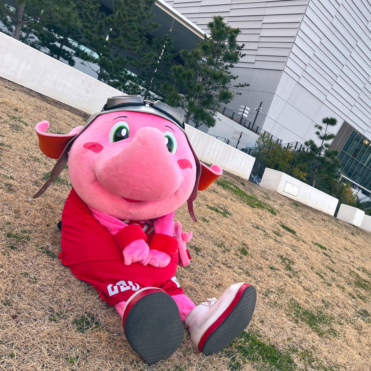 Jumbokun_GOJETS's tweet photo. デザートにパンケーキたべたいな。ふわふわのやつね。 https://t.co/gmhZUHOHqa