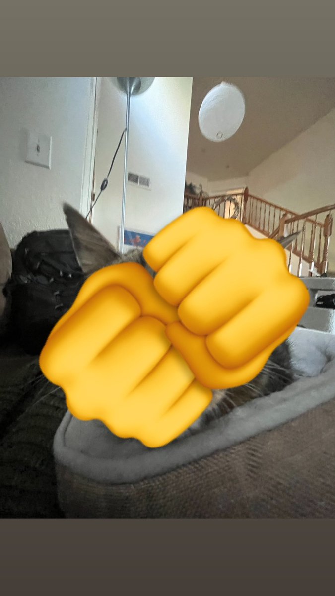 OtterPopCat's tweet photo. TA - DAA !!!! https://t.co/IGMNlX0rt1