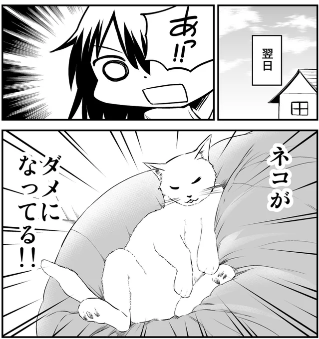 猫と楽しい日常マンガまとめ(1/4) 