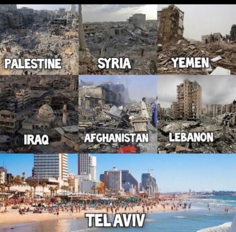 Rogue Taliban. tweet media