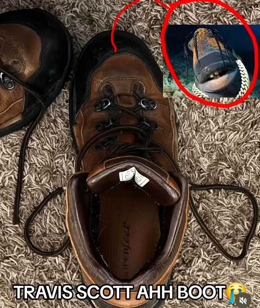 hourly_shitpost's tweet image. 