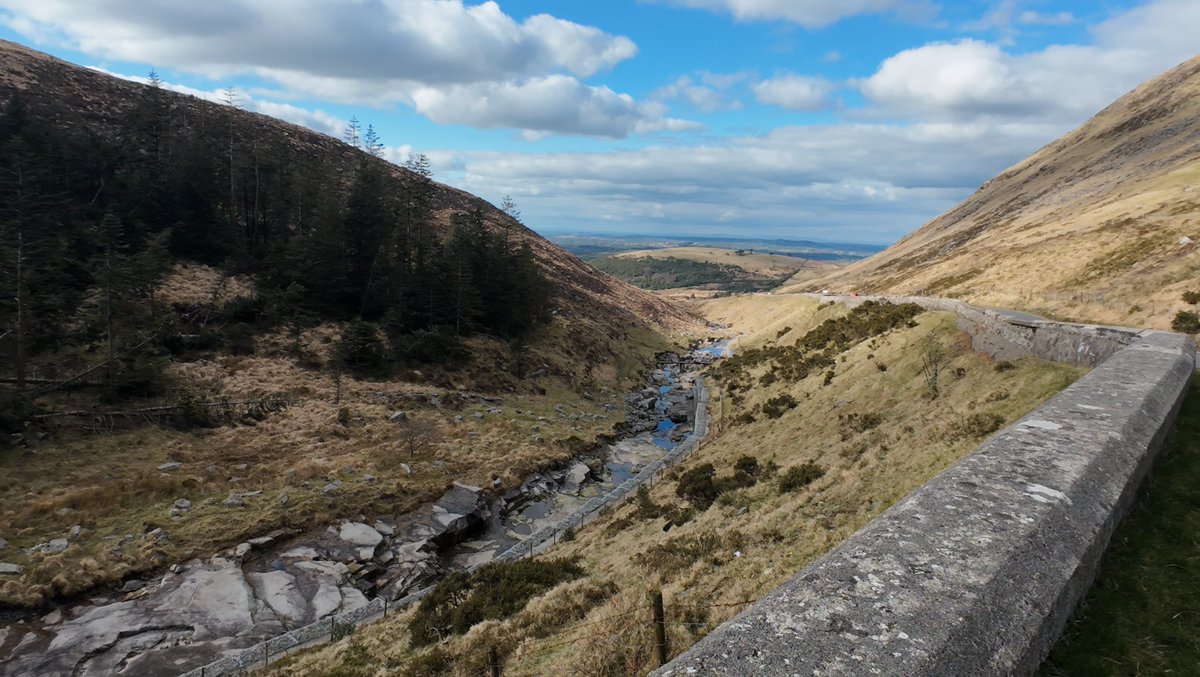 JuJu Jay tweet media