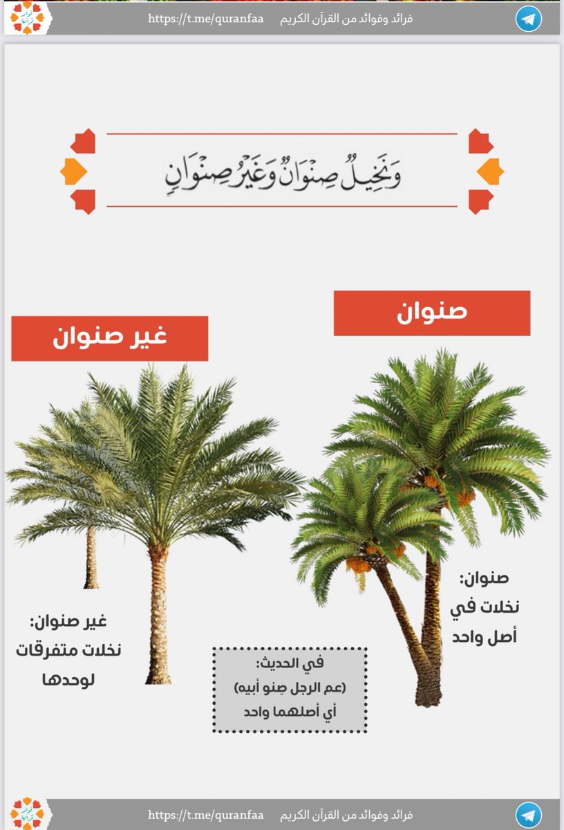 مجالس الفصحى tweet media