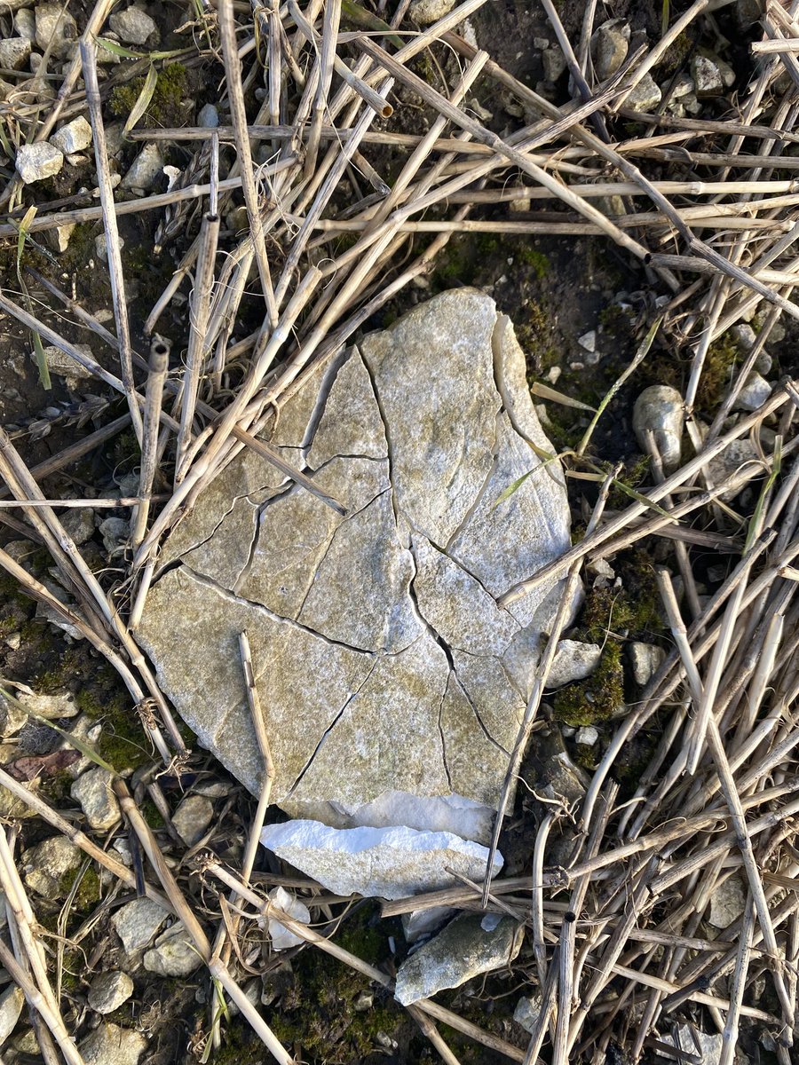JSScholes1's tweet image. The beauty of some sharp frosts this year! #yorkshirewolds #chalk