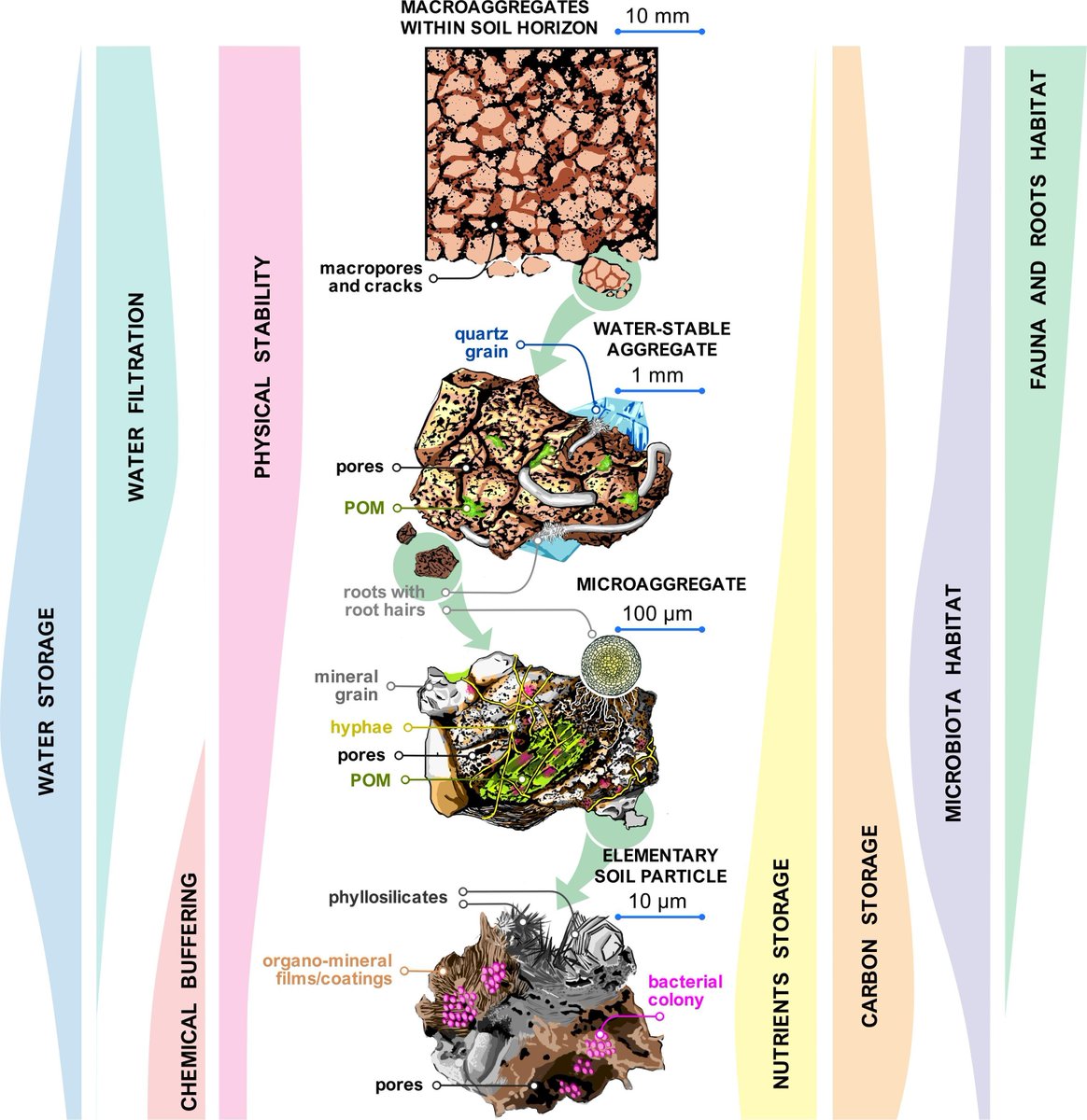Yakov Kuzyakov . . . priming Soil Science (@ykuzyakov) on Twitter photo 💥HOT & HIGHLY CITED paper:
💥Dual nature of soil structure: aggregates & pores🔥
<a href="/Geoderma_Jrnl/">Geoderma - the global #OA journal of soil science</a>
doi.org/10.1016/j.geod…
Energy based formation of soil structure &
Information density of Aggregates & Pores
#soilaggregates #model #carbon #pedogenesis #soilstructure #Hierarchy 💥HOT & HIGHLY CITED paper:
💥Dual nature of soil structure: aggregates & pores🔥
<a href="/Geoderma_Jrnl/">Geoderma - the global #OA journal of soil science</a>
doi.org/10.1016/j.geod…
Energy based formation of soil structure &
Information density of Aggregates & Pores
#soilaggregates #model #carbon #pedogenesis #soilstructure #Hierarchy