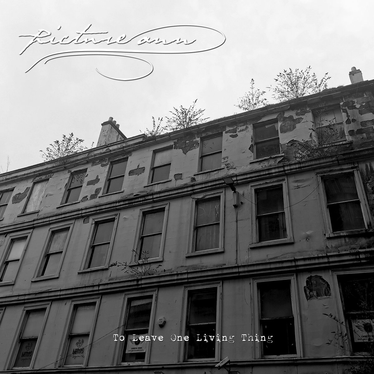 RAMzine Rock & Metal (@ram_zine) on Twitter photo #PictureAnn's latest EP, #ToLeaveOneLivingThing🌌 is out now pondering "how what we leave behind is woven into the lives of others..." - <a href="/fgmoods/">Floodgate Moods</a> ramzine.co.uk/news/picture-a… | RAMzine
#Bandcamp #Spotify! #PostRock #NewMusic #PictureAnn's latest EP, #ToLeaveOneLivingThing🌌 is out now pondering "how what we leave behind is woven into the lives of others..." - <a href="/fgmoods/">Floodgate Moods</a> ramzine.co.uk/news/picture-a… | RAMzine
#Bandcamp #Spotify! #PostRock #NewMusic