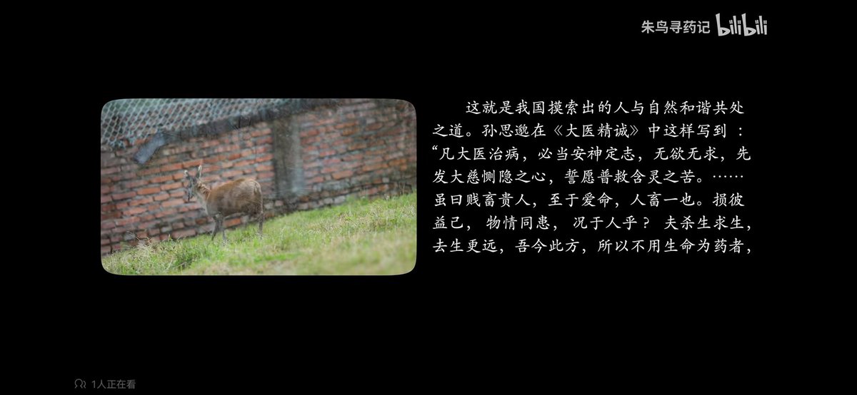 花掉的钱才是你的钱。这个钱花出去一定要创造价值，一定要利益很多人，只有想利益更多人的人，社会自动会配相应的资源和能量给你。所以你的志向决定了你有多少资源。