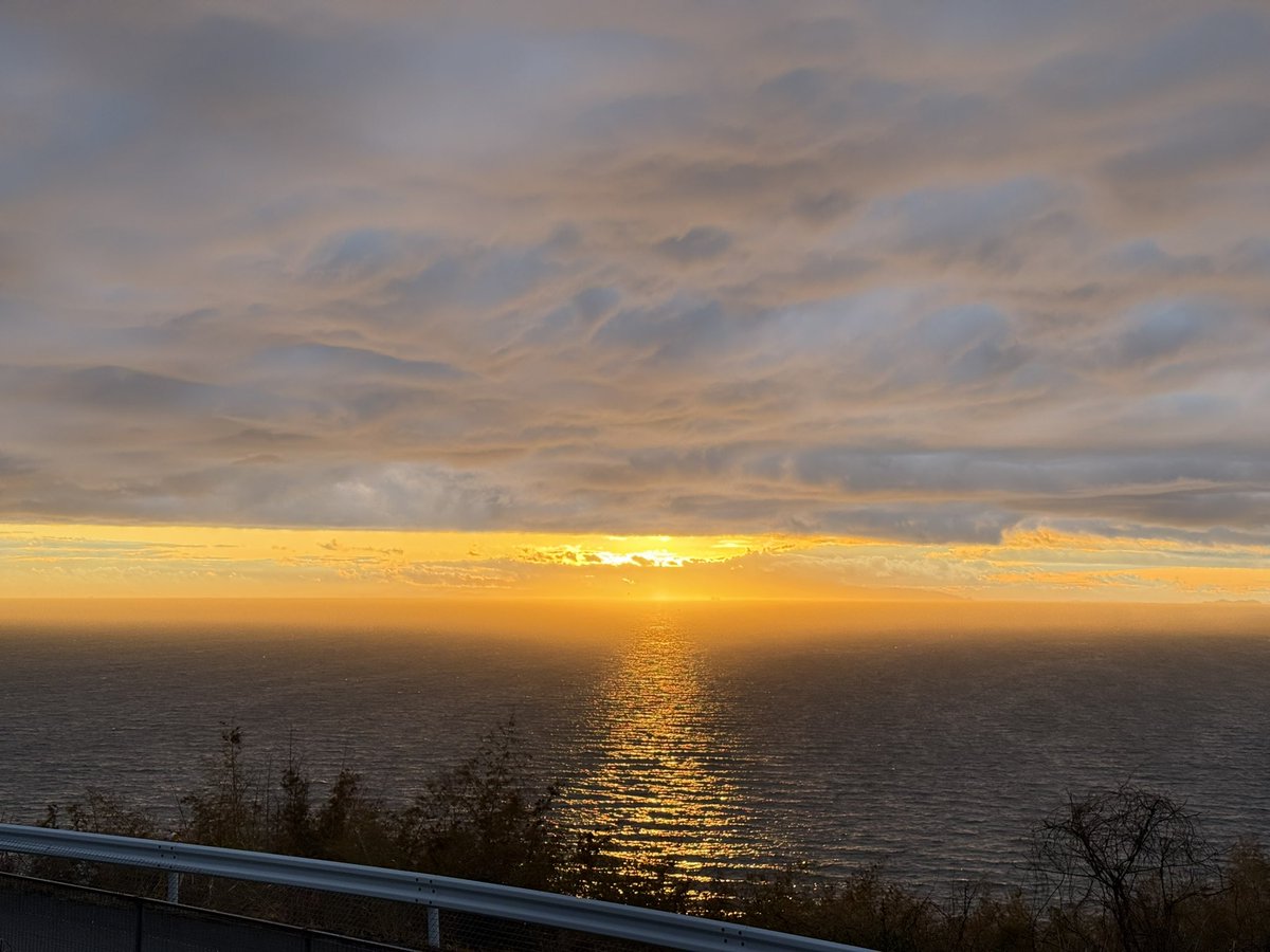 桂 二葉 tweet media