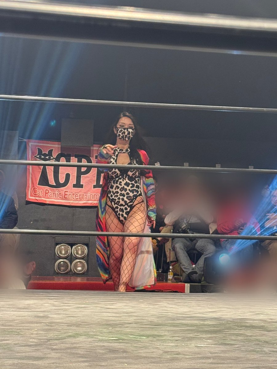 Catking_SG's tweet photo. CPEキャットファイト-万博2025
～はちゃめちゃお下品カーニバル～
at 新木場1stリング

■メインイベント(30分1本勝負)その2

勝ち残り追い剥ぎバトルロイヤル 雛りな vs ○山村茜 vs 鳳華 vs つむごき vs みでぃ vs リリーザストリングス
(勝ち残り)
退場順＝雛りな、鳳華、みでぃ、リリーザストリングス、つむごき ※レフェリー：ピンクタイガー

#CPEキャットファイト