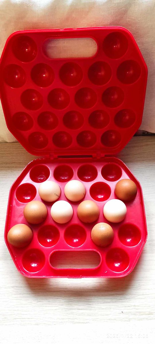 VintageSoviet's tweet photo. #Vintage #Soviet #EggStorage #Basket #Red #Plastic #EggHolder for 20 Eggs, #USSR 1980s #EggCarrier Retro Egg Box
https://t.co/9EXftuVp09 https://t.co/DD3IL6RMTJ