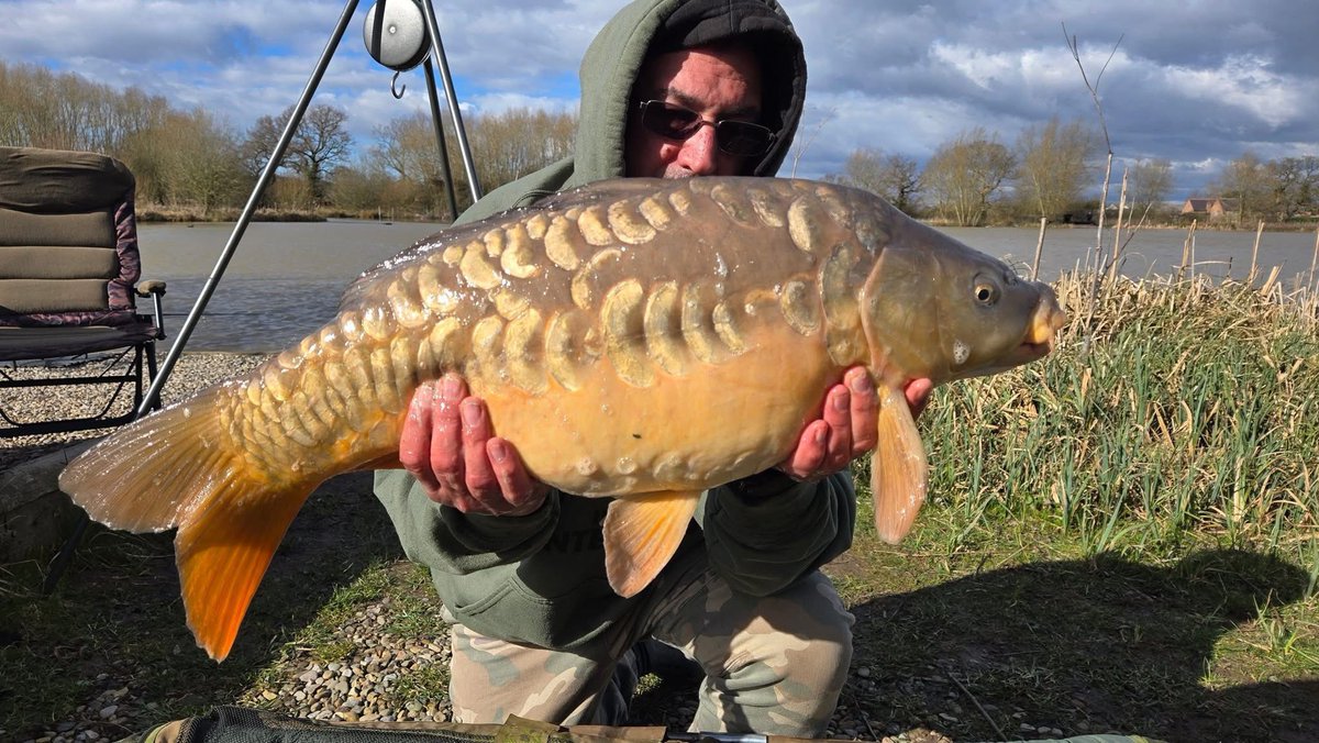 Commonwoodleisu's tweet photo. Some beautiful carp out this weekend @CommonwoodF https://t.co/KvKfCklTvB
