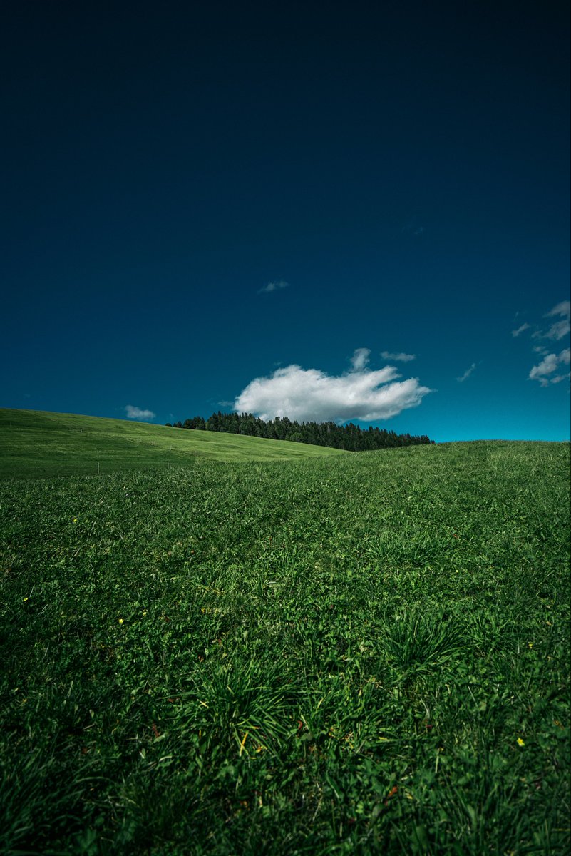 earthcurated's tweet photo. — quiet moments https://t.co/IDAmgtYqJb