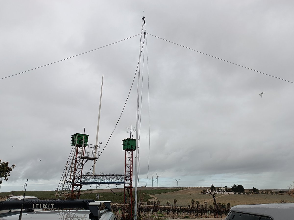 Asociación de Radioaficionados de Sanlúcar tweet media