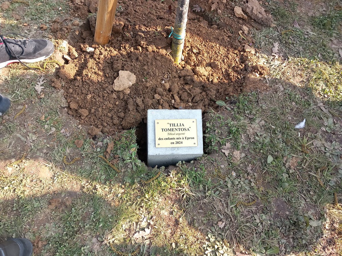 fguegueniat's tweet image. Après-midi dense à @EpronRadio : plantation de l&apos;arbre des enfants (tilleul)  nés en 2024 et #carnaval le tout à l&apos;Ehpad @Groupe_VYV #intergeneration