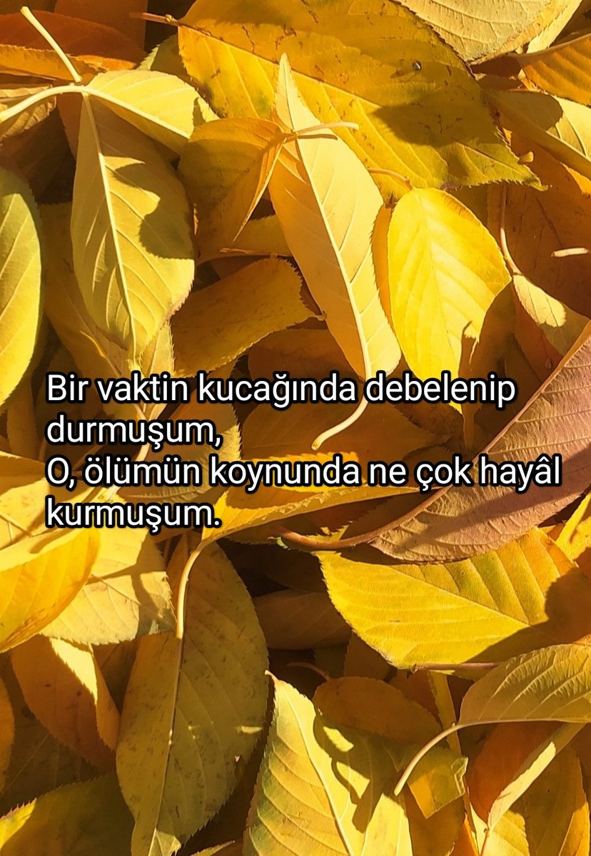 Tahsin Sağlam (@tahsinsaglam) on Twitter photo 