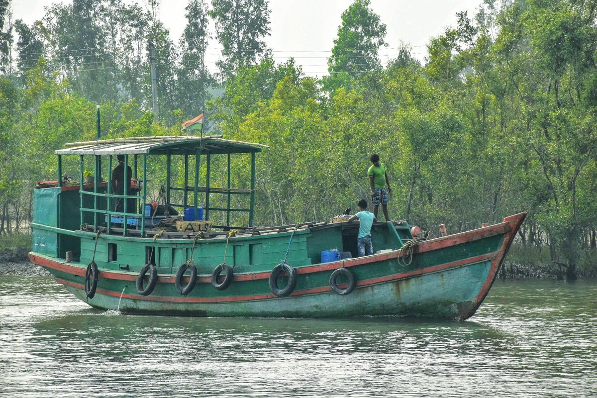 mrinalpain's tweet photo. Sundarban, West Bengal 🇮🇳 https://t.co/jGlB4q2dLo