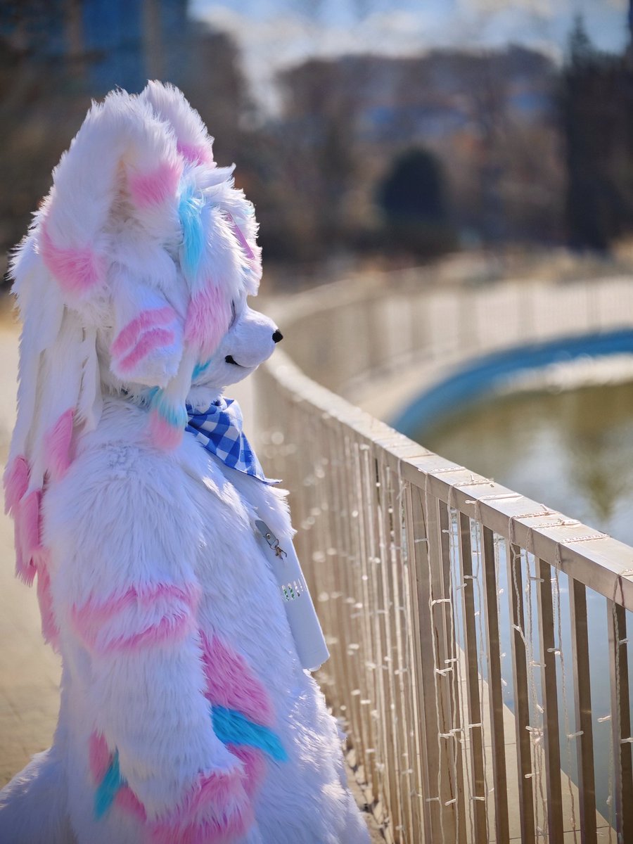 出来玩w
#FursuitFriday