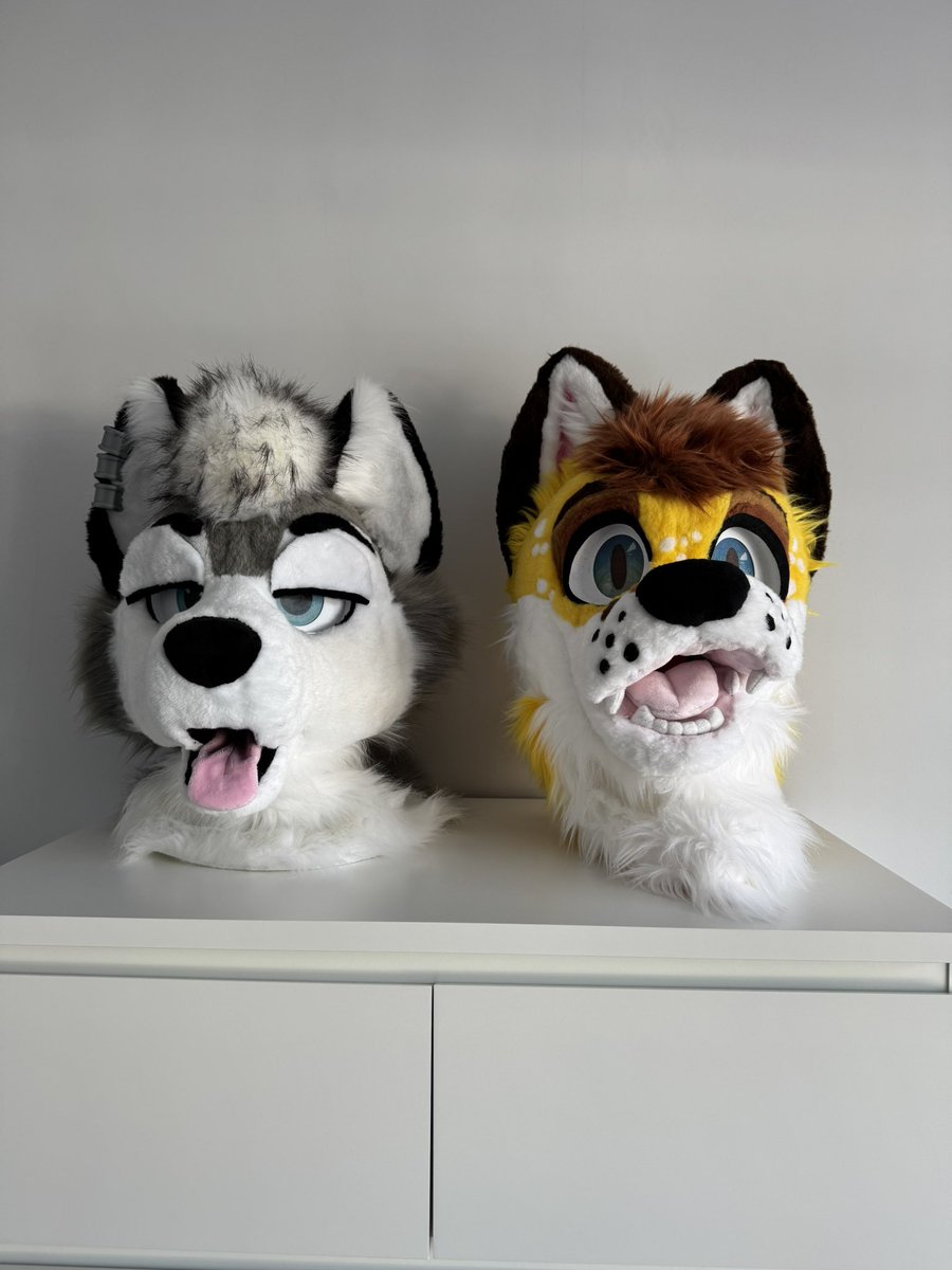 We’re just normal guys :3