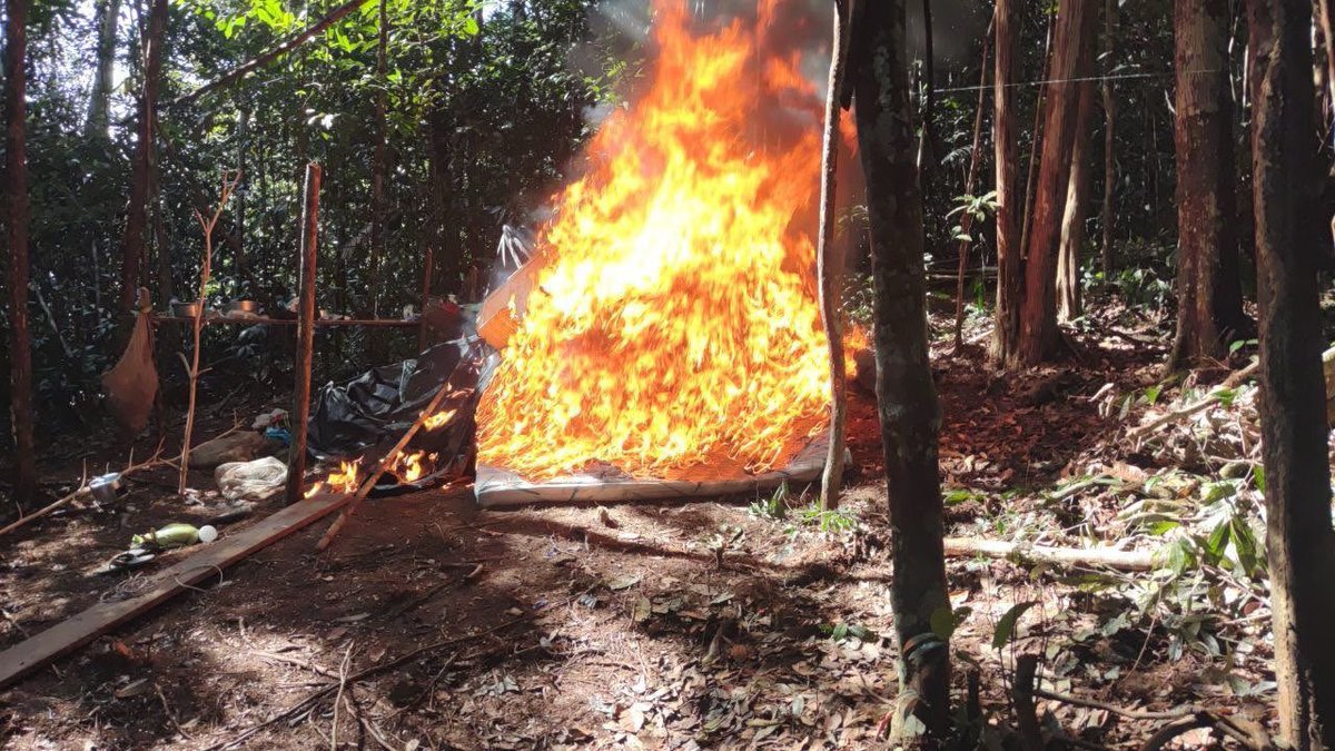 🔁 RT || GJ. <a href="/dhernandezlarez/">GJ. Domingo Hernández Lárez</a>: En el marco de la Operación “Neblina 2025”, en labores de patrullaje y reconocimiento en las inmediaciones del sector Carida, Municipio Atabapo del Edo. Amazonas, coordenadas (03°60' 38.9" N ) y (66° 89' 70.6" W), se efectuó la detención de tres