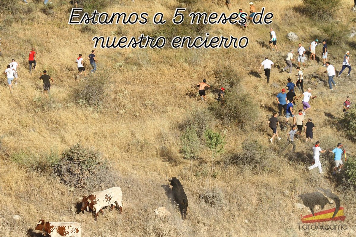 16 de Marzo de 2025, estamos a 5 meses de nuestro tradicional Encierro del 16 de Agosto. ¡Encierro único e inigualable!