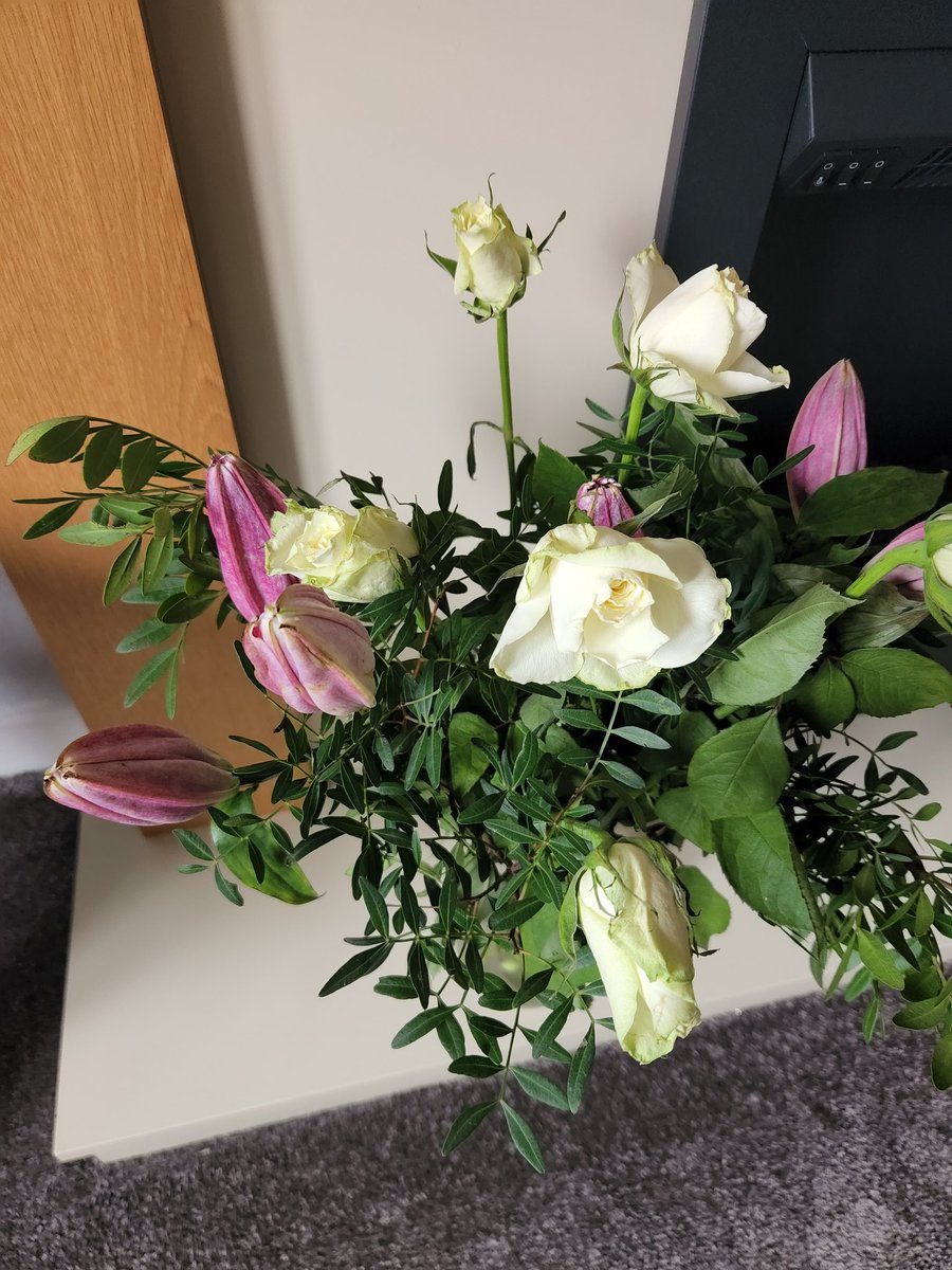 Steven Kane tweet media