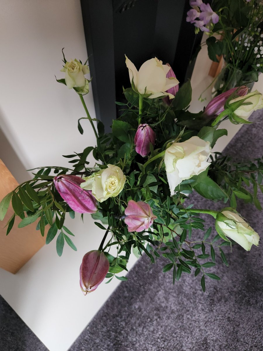 Steven Kane tweet media