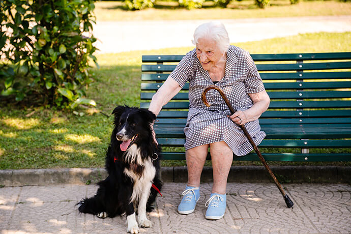 Mi piacerebbe molto avviare una struttura per anziani dove circolino tanti cani o gatti abbandonati, ognuno affidato a uno di loro. Sono sicuro del benessere reciproco che si donerebbero. Ma da dove partire?