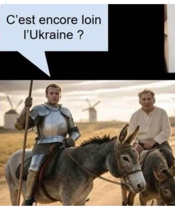 olivier suzor (@lamegoat) on Twitter photo 