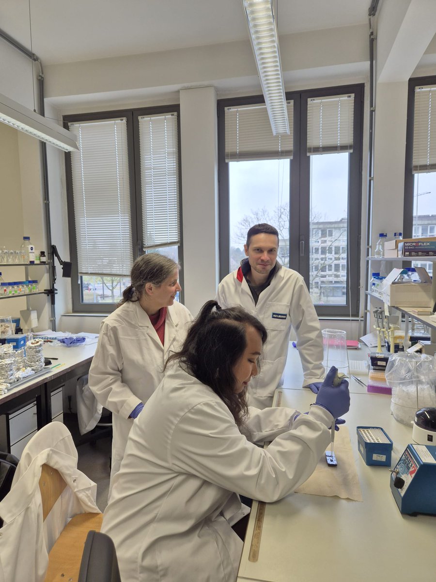 #VIRTIGATION peer-to-peer learning in action! Our partner <a href="/INRAE_PV/">INRAE Pathologie végétale</a> recently visited our coordinator <a href="/biosystkuleuven/">BIOSYSTEMS Department -KU Leuven</a> &amp; partner #EMWEB to learn about #Nanopore long-read #sequencing, using #ToLCNDV samples. Find out more about our approach to #sequencing: virtigation.eu/research-plan/…